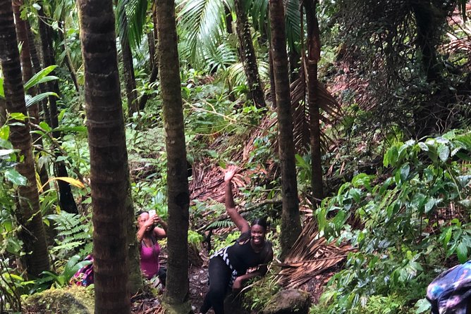 Mount Liamuiga Volcano Tours - Why Mount Liamuiga is more than a summit photo