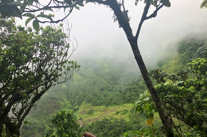 Mount Liamuiga Volcano Tours - Is $80 a fair price?