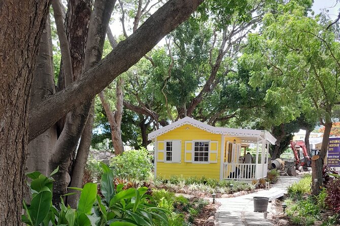 Nevis Hot Springs & Bath Village Heritage Experience - Guiding style can make or break the experience