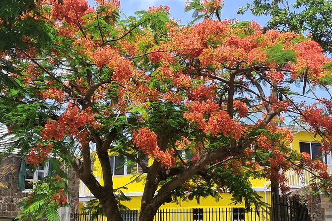 Nevis Island Historical Private Tour - Key points at a glance
