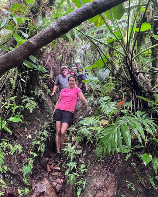 Nevis Peak Hike - Climbing a dormant volcano in central Nevis