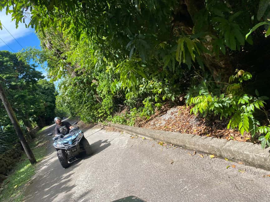 Nevis: Queen City ATV Adventure Tour - Three hours between forest tracks and island views
