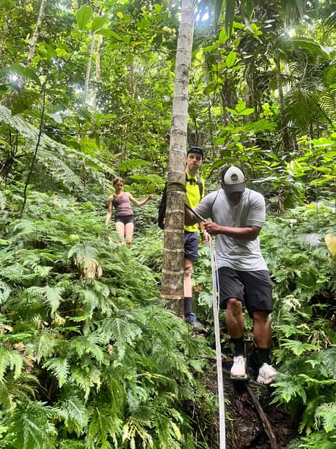 Nevis Waterfalls/Russel's Rest Hike - Is $130 a Fair Price?