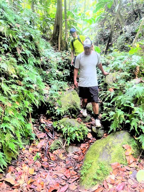 Nevis Waterfalls/Russel's Rest Hike - Who Should Book This Experience?