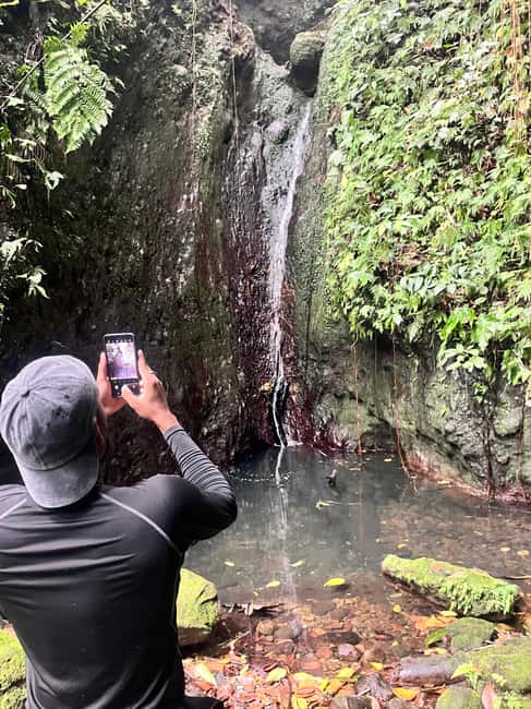 Nevis Waterfalls/Russel's Rest Hike - Entering the Untouched Forest Trail