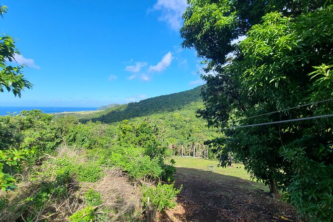 Off Road Rain Forest 4X4 Drive in St. Kitts - Challengers and the story of free land ownership