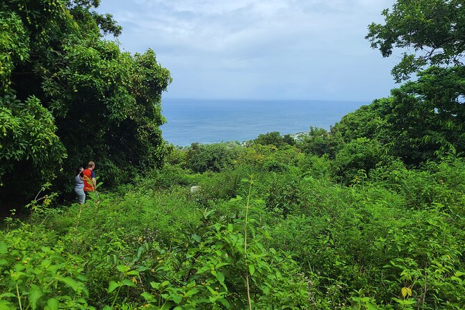 Off Road Rain Forest 4X4 Drive in St. Kitts - An abandoned 18th-century fortress adds a sense of discovery