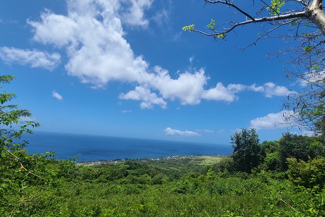 Off Road Rain Forest 4X4 Drive in St. Kitts - The volcano viewpoint brings St. Kitts together