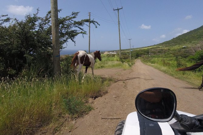 Off roading Morning Excursion - Starting near Frigate Bay
