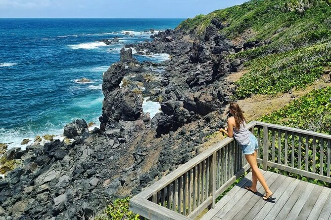 Panoramic Full Island Tour With Lunch And Beach - At a glance: what makes this tour useful
