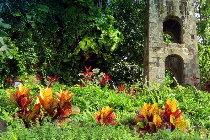 Panoramic Sightseeing Tour of St Kitts - Is $40 a Good Value?