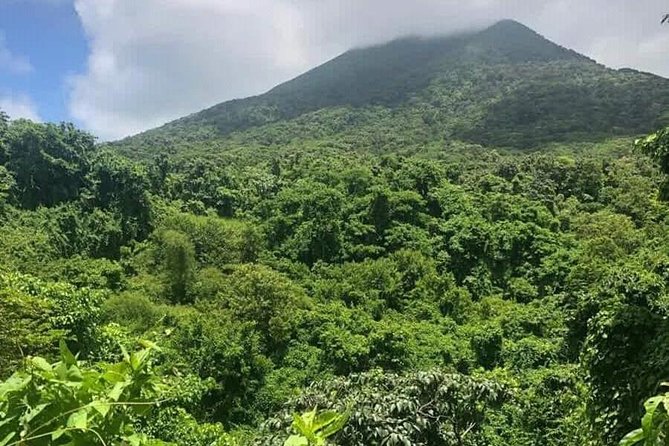 Private Airport Transfer to Belmont Estate Farm, Kititian Hill - From the airport to St Kitts country roads