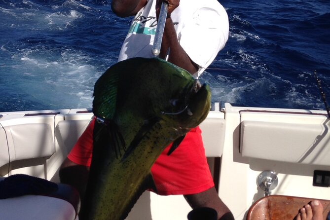 Private Fishing & Snorkel Charters in St Kitts and Nevis - What This Private Charter Really Offers