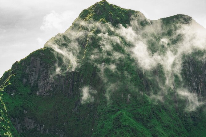 Private Hike St Kitts: Highest Peak Mount Liamuiga Volcano - Four hours in forest, with the sounds turned up
