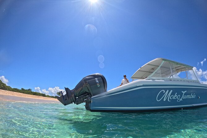 Private Power Catamaran Adventure in Saint Kitts and Nevis - Leaving Basseterre for open water