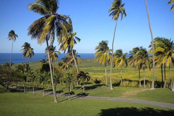 Private Tour in St. Kitts - Why This St. Kitts Tour Works Well for a First Visit