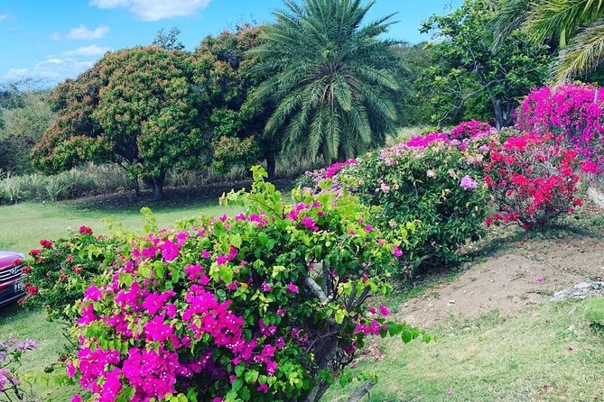 Private Tour in St. Kitts - Brimstone Hill Fortress and Its UNESCO Status