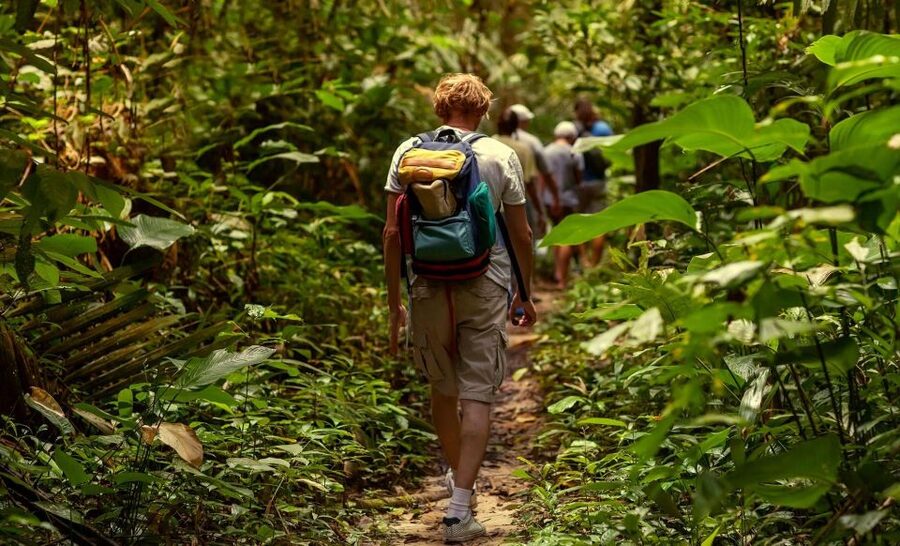 Rainforest Adventure - Key Points Before You Book