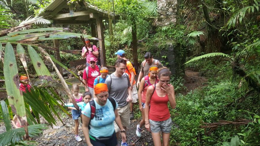 Rainforest Adventure - From Port Zante to Old Road Town