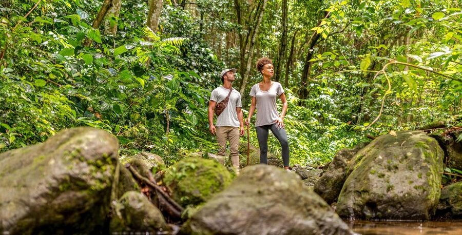 Rainforest Adventure - Old Road Town and the Sugar Plantation Story