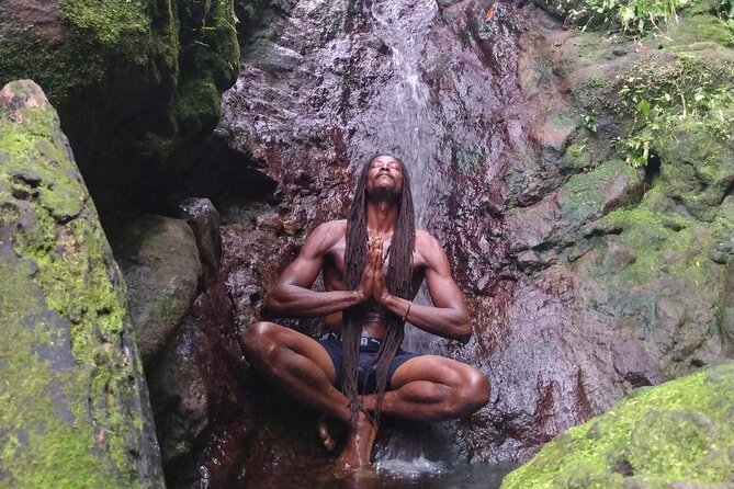 Rainforest Waterfall Hike with Rastafarian Nature Guide - Key points to know before you go