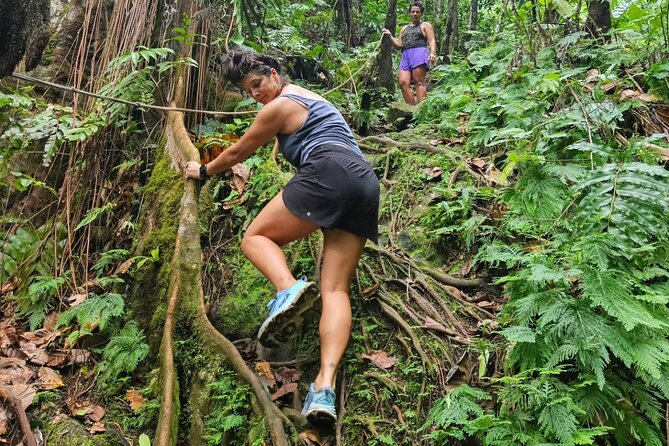 Rainforest Waterfall Hike with Rastafarian Nature Guide - Leaving Oualie for Nevis’s eastern countryside