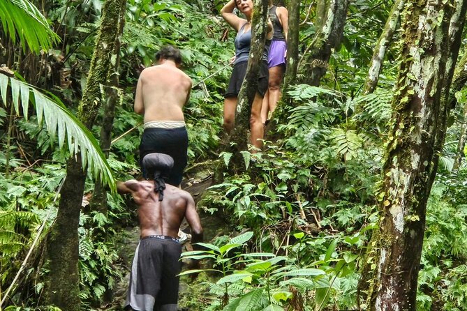 Rainforest Waterfall Hike with Rastafarian Nature Guide - Reaching the first waterfall and its cool pool