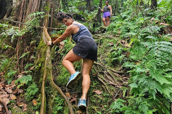 Rainforest Waterfall Hike with Rastafarian Nature Guide - Local culture through the guide’s eyes