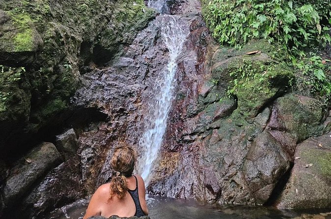 Rainforest Waterfall Hike with Rastafarian Nature Guide - What the private format changes