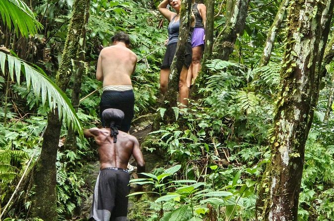 Rainforest Waterfall Hike with Rastafarian Nature Guide - The possible hot springs addition