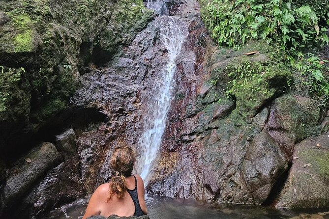 Rainforest Waterfall Hike with Rastafarian Nature Guide - Walking beneath Nevis’s rainforest canopy