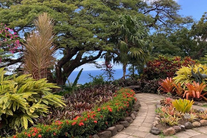 Rosevelt's Special Best of St. Kitts/Panoramic Tour - Timothy Hill brings the panoramic finish
