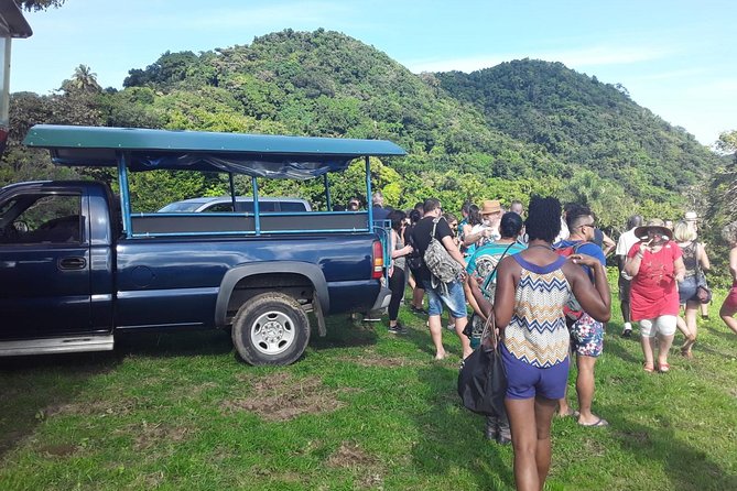 Safari Extravaganza - Key things to know before booking