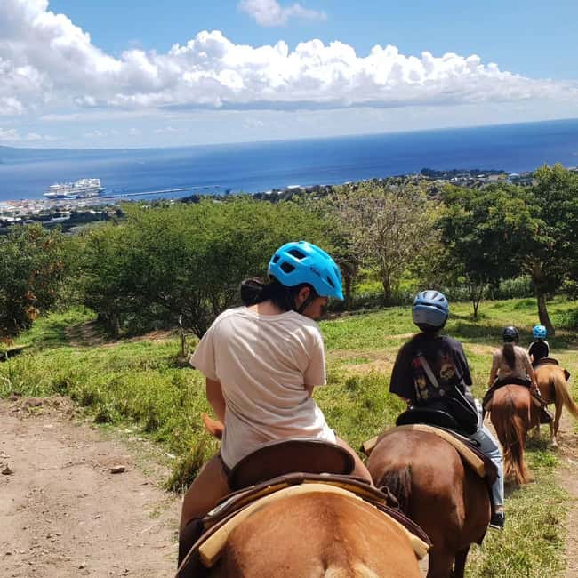 Scenic Horseback Trail - Riding from Port Zante into the island hills