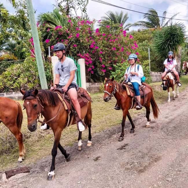Scenic Horseback Trail - The ride back down and refreshments