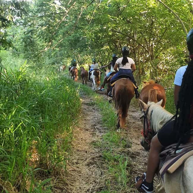 Scenic Horseback Trail - Is $110 a fair price?