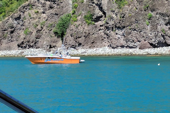 Scenic Speed-Boat Snorkel Tour - Is $80 a good value for 90 minutes?