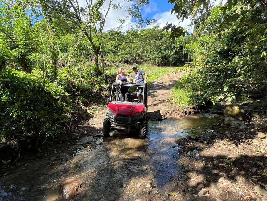 St. Kitts:Countryside Dune Buggy Tour - Mount Liamuiga and the island’s high country