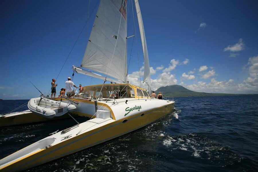 St. Kitts Full-Day Catamaran Cruise to Nevis - The Snorkeling Stop: Fish, Boulders, and Clear Water