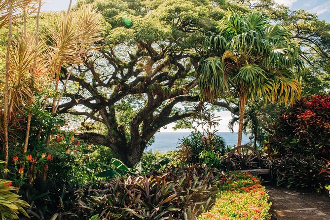 St. Kitts Full Island Excursion - Black Rocks shows St. Kitts’ volcanic side