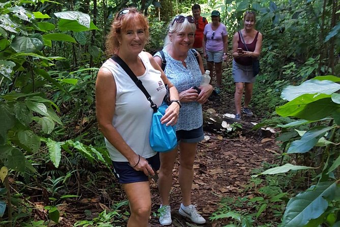 St Kitts Half-Day Rainforest Tour - Key points to know before you book