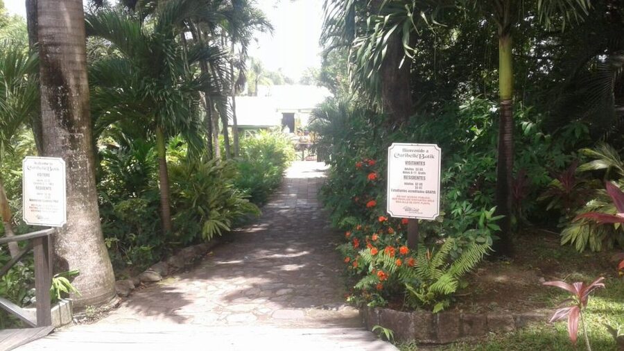 St. Kitts Island Half-Day Bus Tour - Brimstone Hill Fortress and the story of St. Kitts