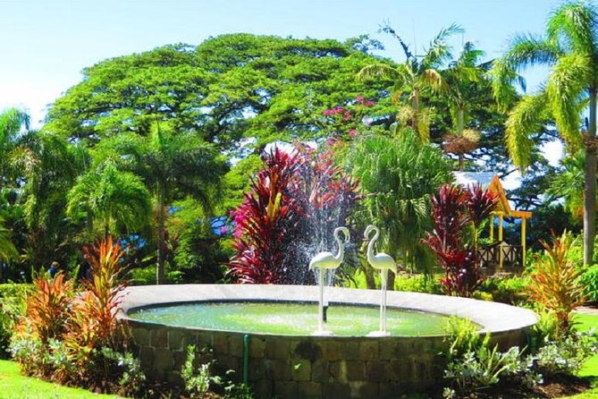St Kitts Island Tour (Reconfirm Ship or Hotel) - Romney Manor and the Caribelle Batik workshop
