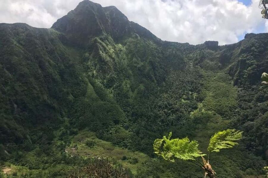 St Kitts: Jungle Bikes Off-Road ATV Tour - Rough ground, forest tracks, and the fun part