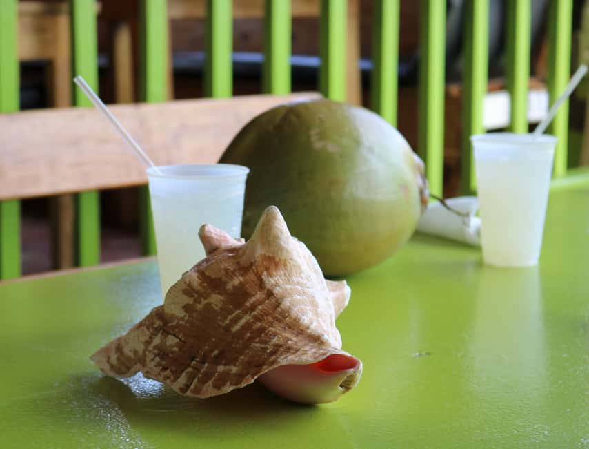 St. Kitts: Nevis Island Tour and Beach Time with Lunch - Key points to know before you book