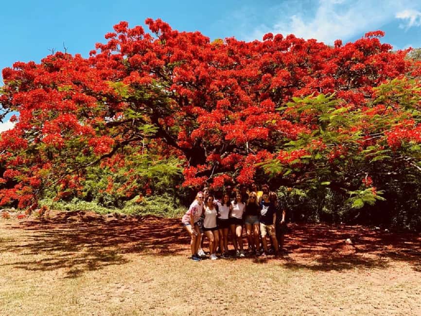 St. Kitts: Private Island Highlights Shore Excursion - Key Points To Know Before You Book