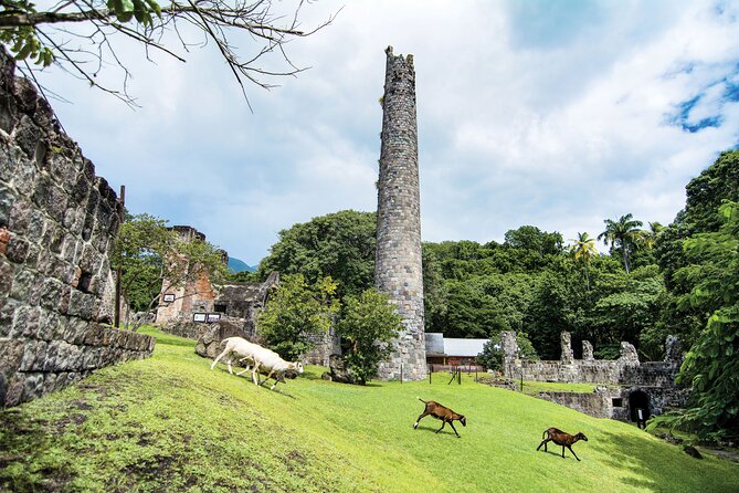 St. Kitts Rainforest Tour - The important route question: Peter Manning or Mount Liamuiga?