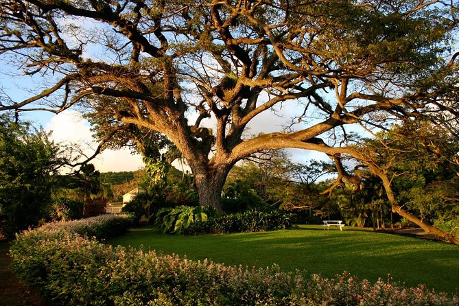 St. Kitts Rainforest Tour - Is $70 a fair price?