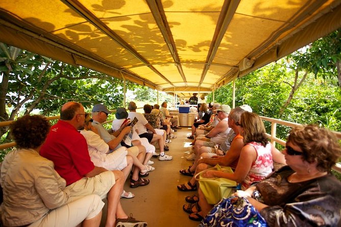 St Kitts Scenic Train Tour (Hotel or Ship) - Why this railway is more than a train ride