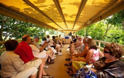 Sugar Train with Pick Up & Drop-Off & Drinks
